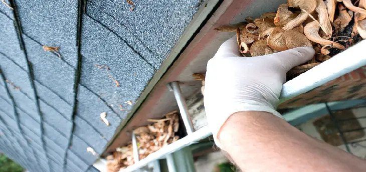Some effective gutter cleaning tips